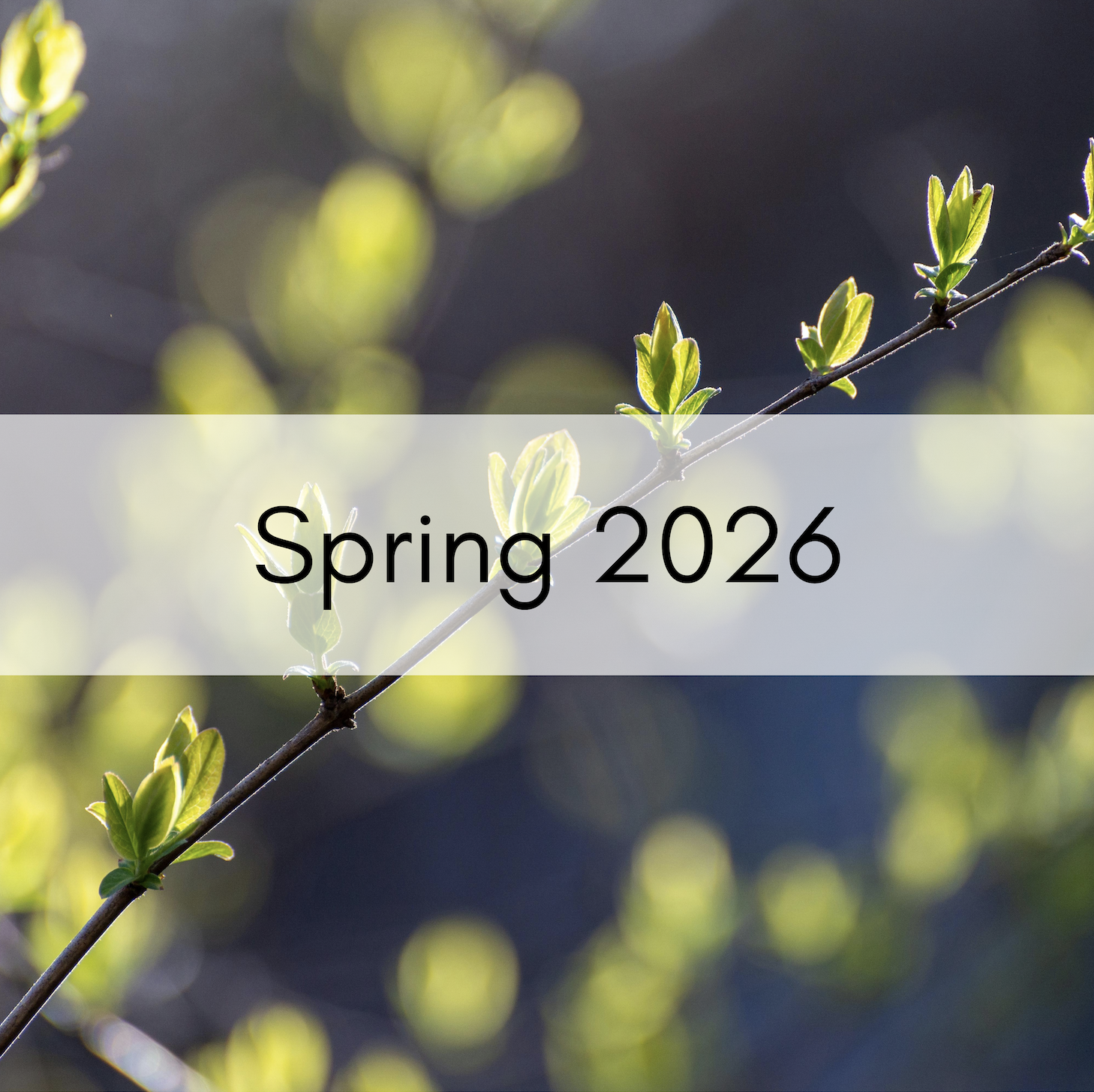 Blog list featured image